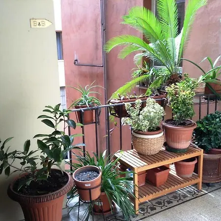 Guest house Julius Caesar 183