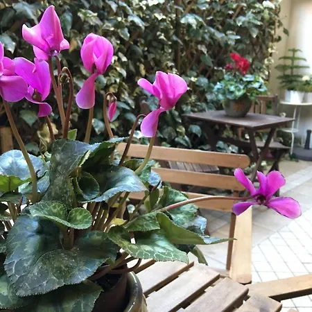 Bed & Breakfast St. John Roma