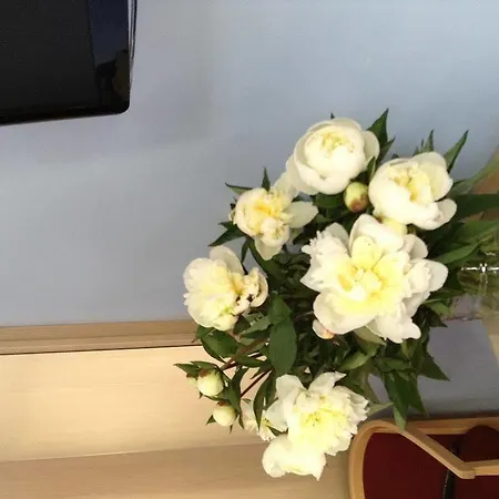 게스트하우스 207 인 로마