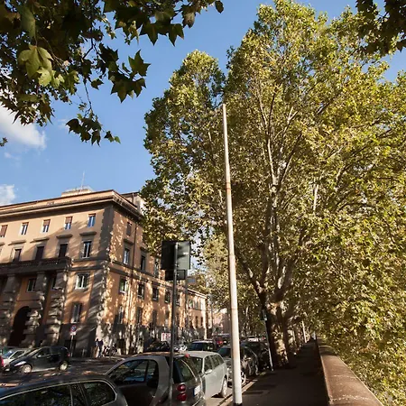 Bed & Breakfast River Roma