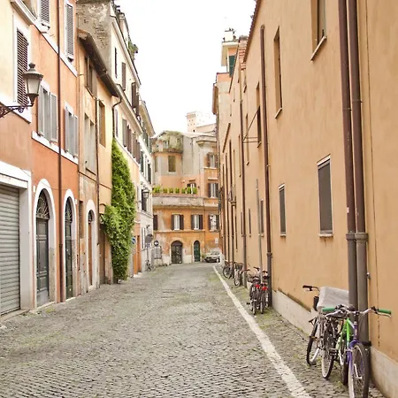 Elegant Behind The Colosseum Rom