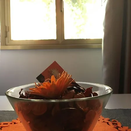 Sunrise Bed & Breakfast