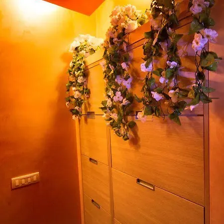 Apartament Magenta *