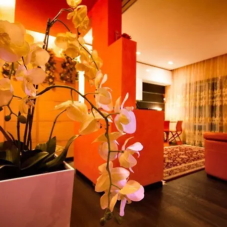 Holiday Magenta Rome