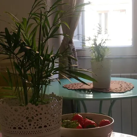 Bed & Breakfast Il Di Amelia