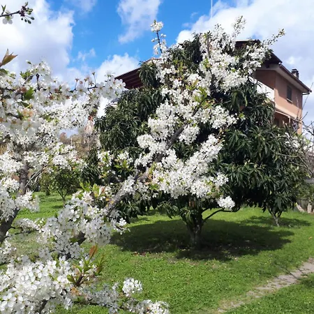 Bed & Breakfast Il Giardino Di Gabri Řím