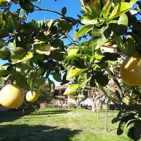 Il Giardino Di Gabri