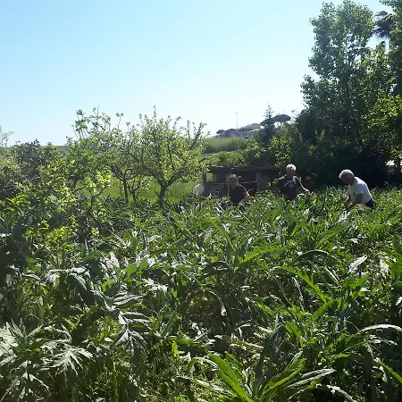 Bed & Breakfast Il Giardino Di Gabri Rome