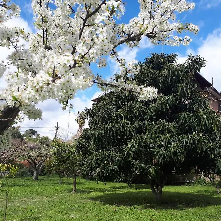 Il Giardino Di Gabri Rome