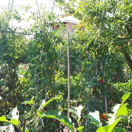 Il Giardino Di Gabri *