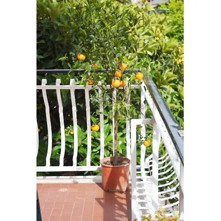 Casa Celeste Affittacamere Roma