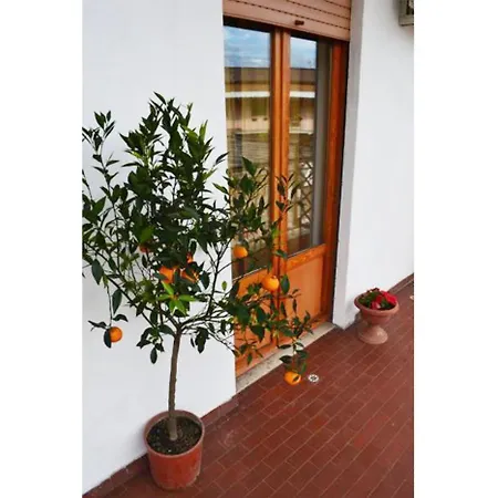 Casa Celeste Penzion