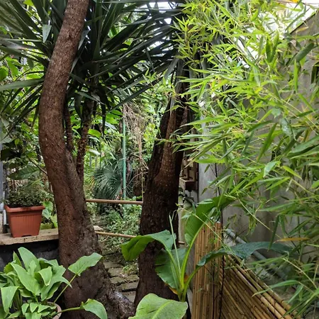 Palm Gallery Garden House 3*