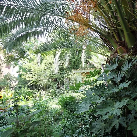 Palm Gallery Garden House Hotel Rome