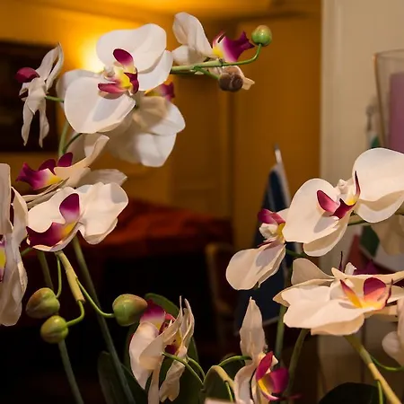 Hotel Quadrifoglio Eur 3*