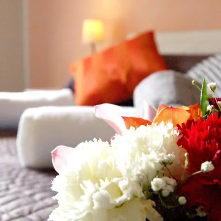 Bed & Breakfast Luiza Vatican House Rome