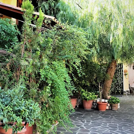 I Gerani Rossi Guest house Rome