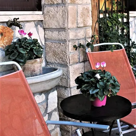 I Gerani Rossi Guest house Rome