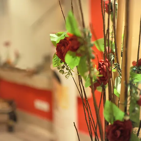 Relais San Pietro 3* Rome