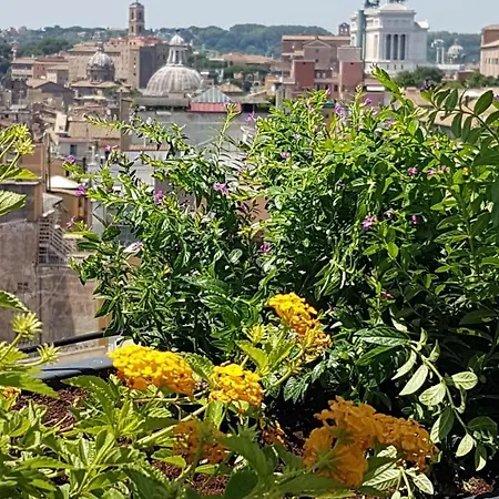 Hotel Monti Palace 4*