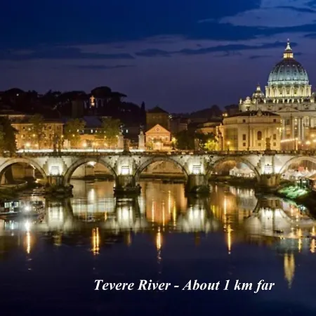 Love Vatican