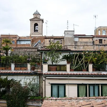 Tetti Di Piazza Navona *