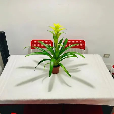 Holiday Guest house *