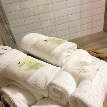 酒店 多莫斯蒂贝里纳酒店
