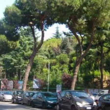 Magnolia St.peter's Guest house Rome