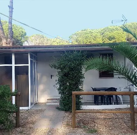 Aurelia Club