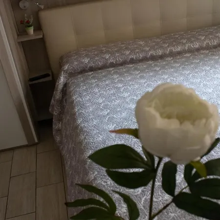 Guest house Dimora Dei Sogni Al Vaticano Rome
