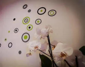 克罗马意大利酒店 - 克罗马欧可霍 罗马