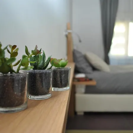 Aleja Bed & Breakfast Rome
