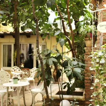 Domus Dea 3* Roma
