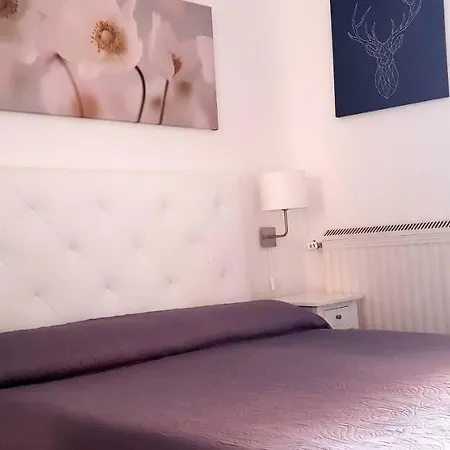 Bed & Breakfast Musei Vaticani Rome