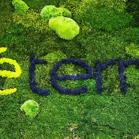 Guest house Aeterno Eco 3*