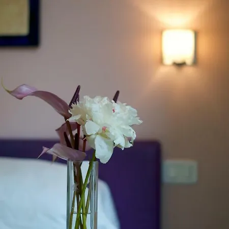 B&B Amor Roma