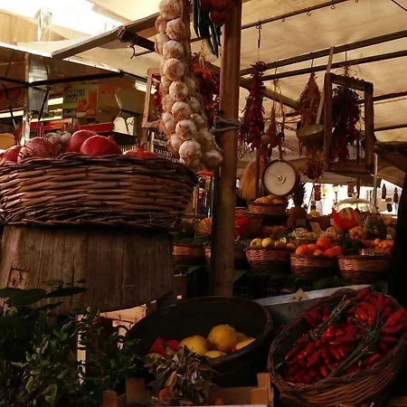 Campo24roma