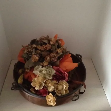 Guest house St. Peter's Luxury Rome