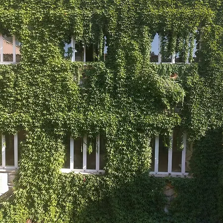 Hotel San Carlo Roma