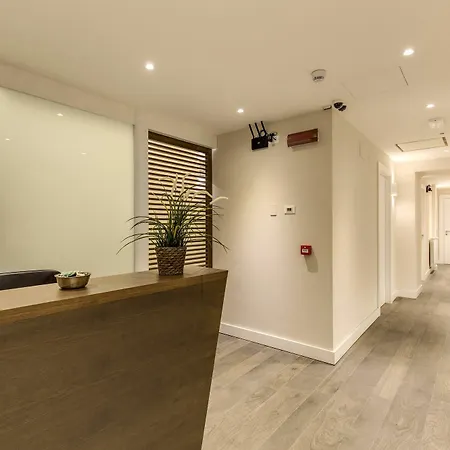 Terrace Guest house 3*
