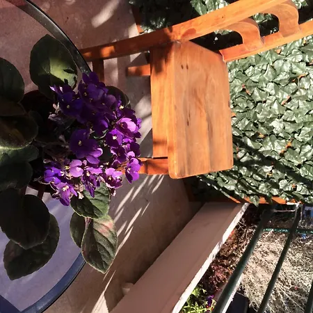 Shelisa Bed & Breakfast 3*