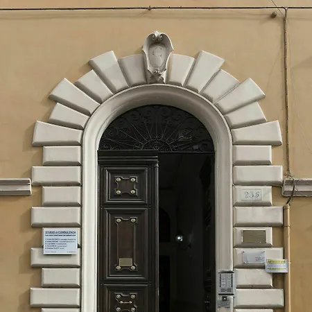 Dab Roma
