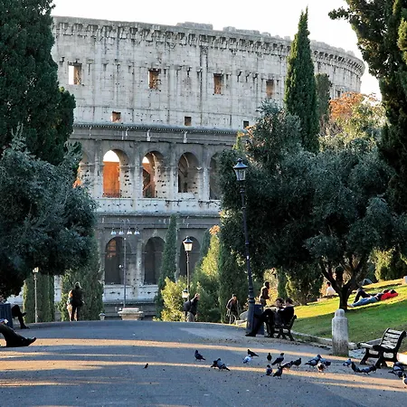 Floor Colosseo