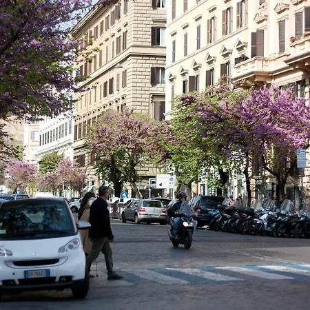 Penta Luxury House Konukevi Roma
