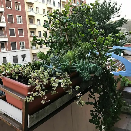Pardis Konukevi 3*
