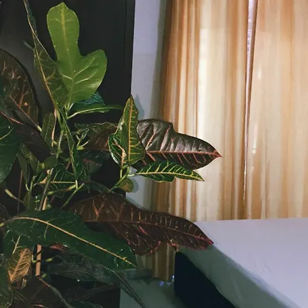 Candia41 Bed & Breakfast Roma
