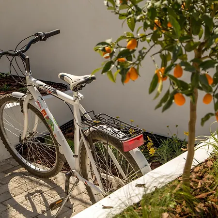 Hotel Urban Garden Rome