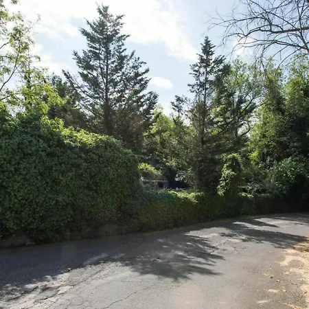 Kemp Happy Village &