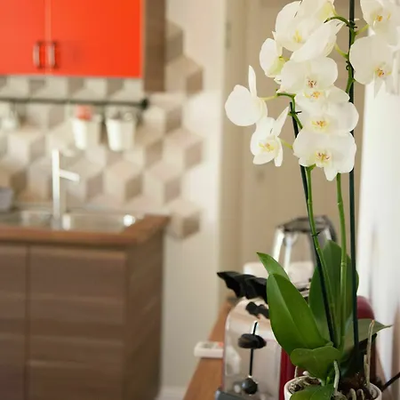 Clodio10 Suite&apartment * Roma